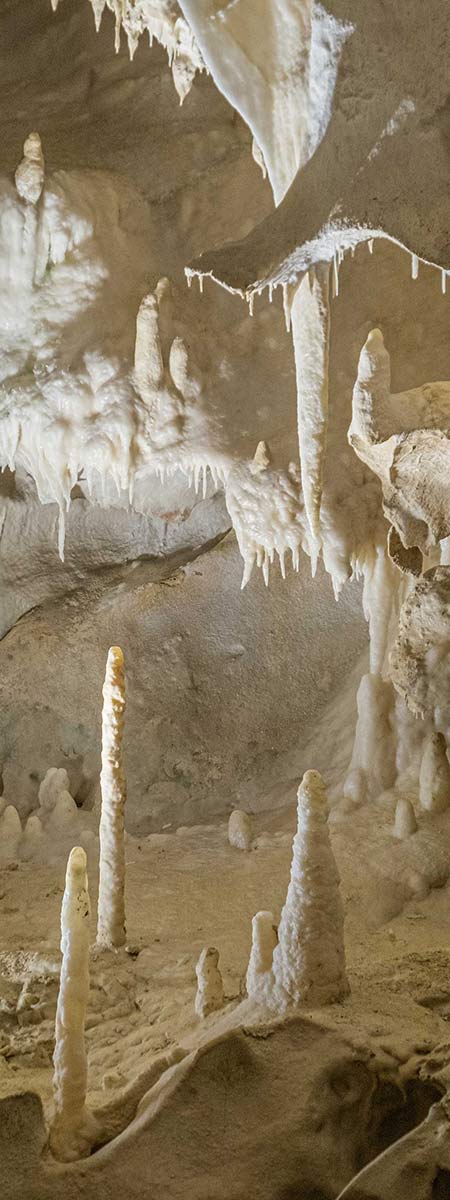 interior-cueva-patrimonio-cantabria-vert