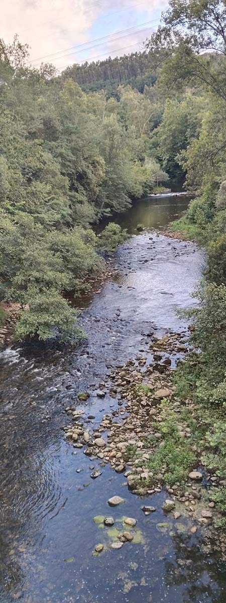 ruta-fluvial-nansa-vertical-galeria